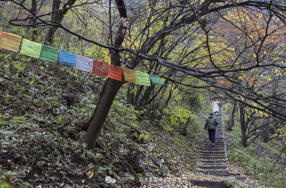 与花儿王子面对面 探访花儿圣地莲花山 图文：陈俊林