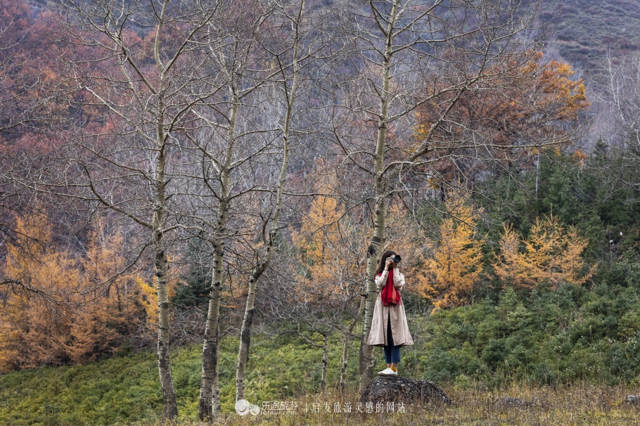 与花儿王子面对面 探访花儿圣地莲花山 图文：陈俊林