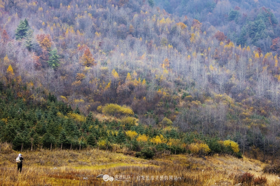 与花儿王子面对面 探访花儿圣地莲花山 图文：陈俊林