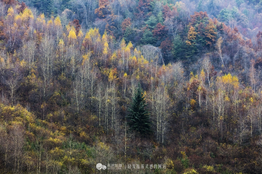 与花儿王子面对面 探访花儿圣地莲花山 图文：陈俊林