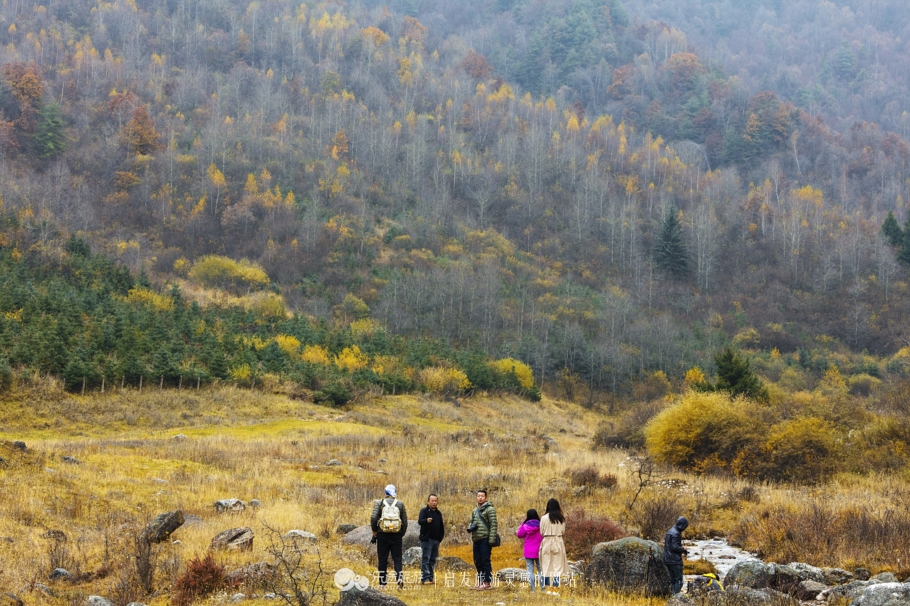 与花儿王子面对面 探访花儿圣地莲花山 图文：陈俊林