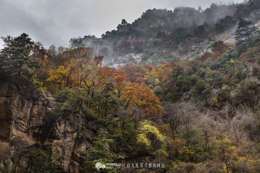 与花儿王子面对面 探访花儿圣地莲花山 图文：陈俊林