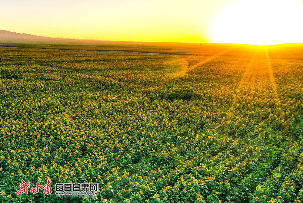 DJI_0048.JPG