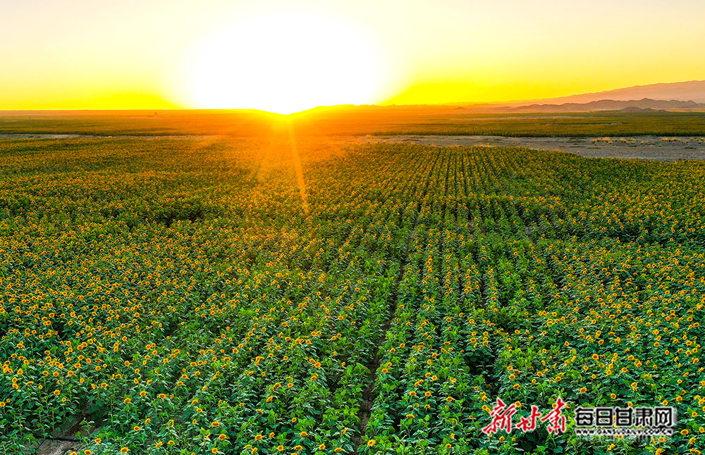 DJI_0063.JPG