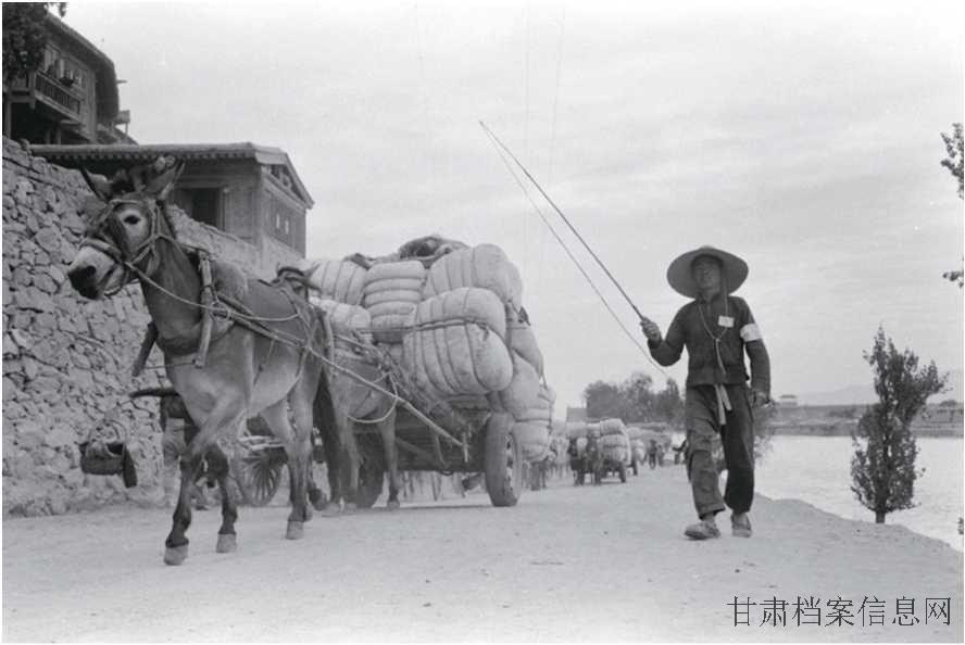 15.金城关西行马车队.jpg