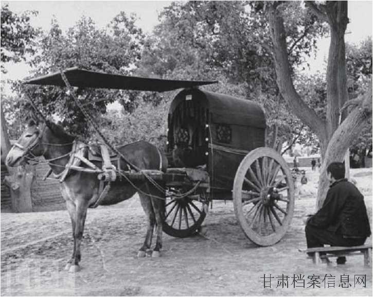 19.轿车子.jpg