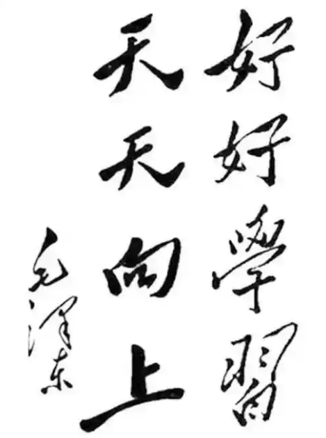 图片 6.png