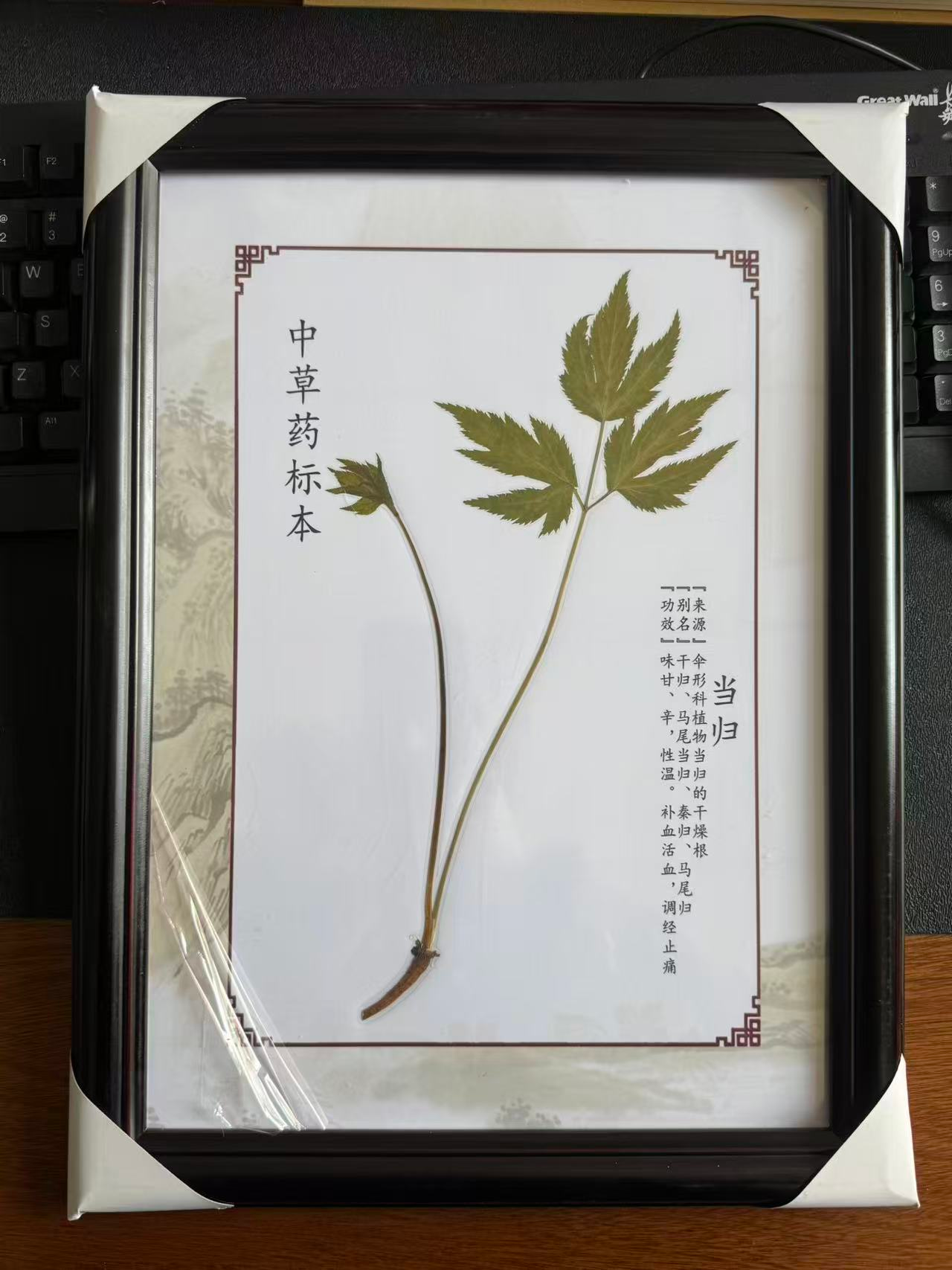 图片 3.png