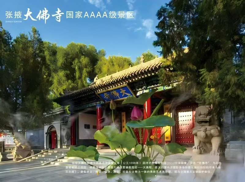 图片 6.png