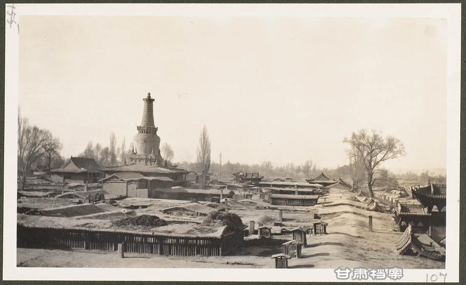 3月12日，甘州，从寺庙高处看到的佛塔.jpg